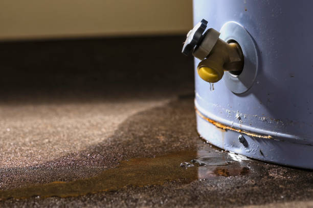 Best 24/7 water damage repair  in Pis, AR