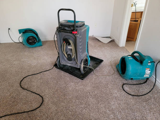 Best Water damage restoration near me  in Pis, AR