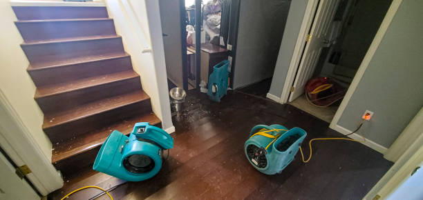 Best Ceiling water damage repair  in Pis, AR