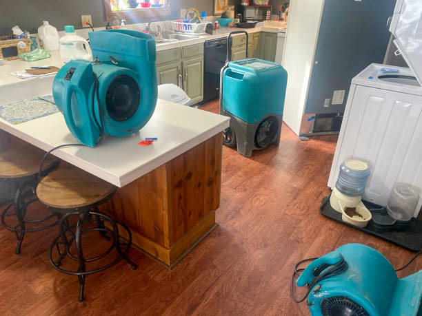 Best Water damage contractors near me  in Pis, AR