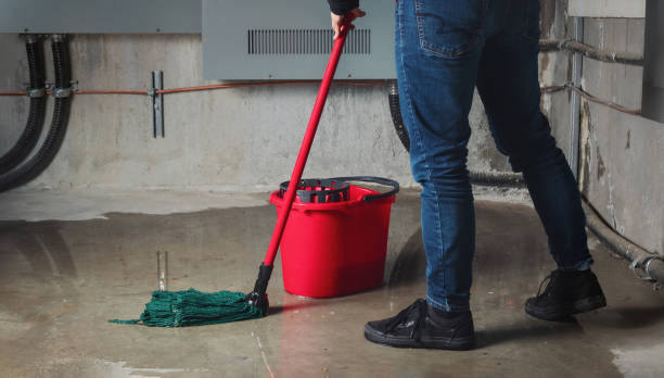Best Water damage restoration near me  in Pis, AR