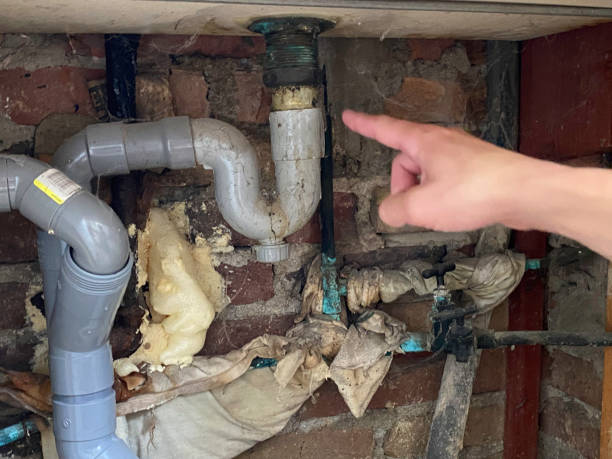 Best Water damage restoration mold remediation  in Pis, AR
