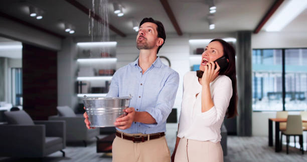 Best Water damage restoration near me  in Pis, AR