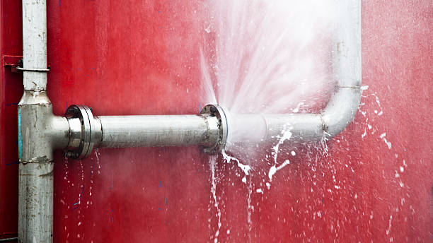 Best Mold removal after water damage  in Pis, AR